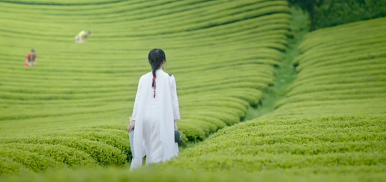 叮！一份来自武义县长的茶乡邀约，请查收