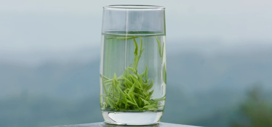 叮！一份来自武义县长的茶乡邀约，请查收