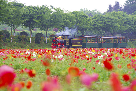 “龙乡”铜梁之变① | 宜居有品，满城春色满城园