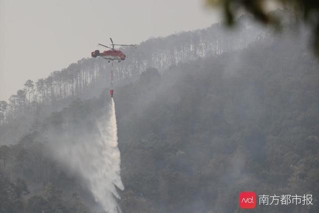 西昌火警另一面：饭馆老板为救火员备午餐，志愿者夜晚留守送大衣