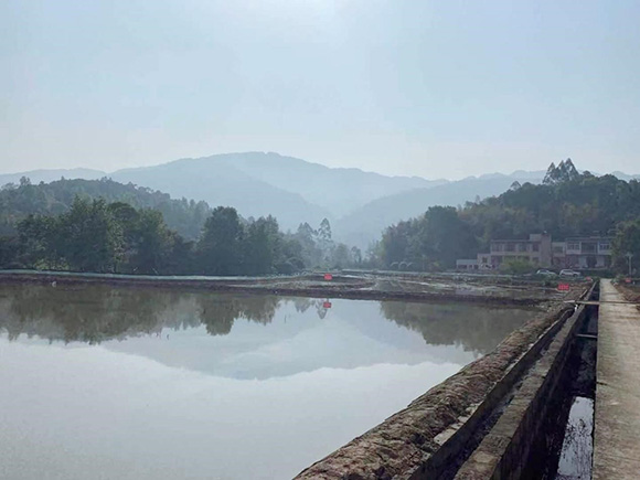 @吃货们 第一波小龙虾提前上市了！产地还来自重庆