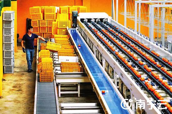 以改良破成长之羁 以创新谋奋进之局——2020年度南宁市优秀改良创新项目扫描