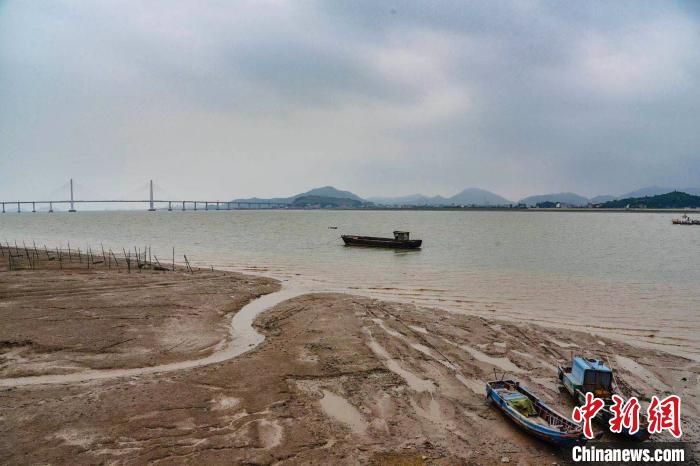 浙江大力大举建树海洋强省 海岛人大代表称“出格欢快”