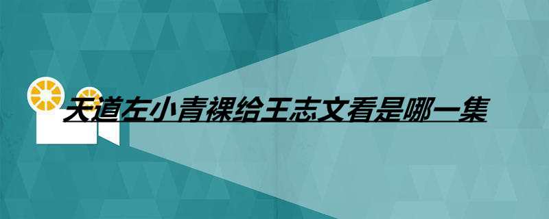 天道左小青裸给王志文看是哪一集