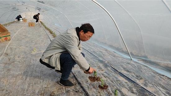 浙江临海春耕备耕农资富裕 早稻意向种植面积增加