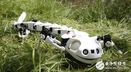 看看这七款灵感来自大自然的呆板人 每款都将生态与呆板团结