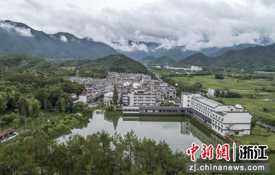 浙江仙居：成长绿色财富铺就村子振兴之路