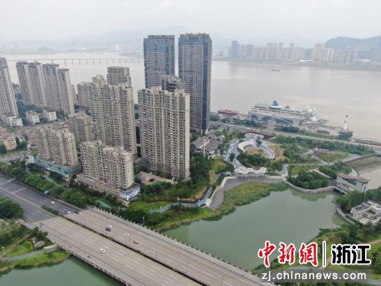 浙江鹿城观共富：项目引领 做大“蛋糕”