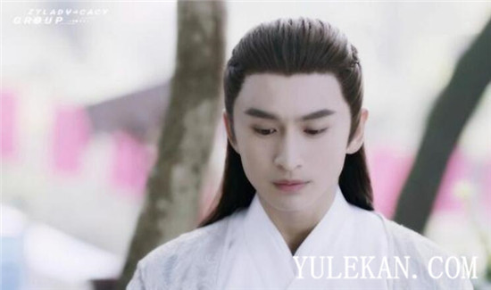 《枕上书》除了东华帝君尚有哪些男配与凤九也很配？