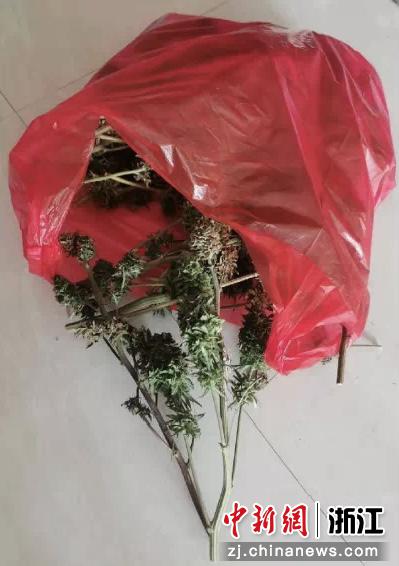 男人在网上售卖阿片类处方药 涉贩卖运输毒品罪被告状