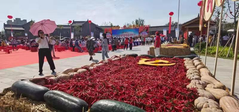 让金黄的果实更光辉灿烂——临泉青年志愿者助力阜阳农夫丰收节