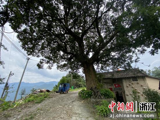 探访浙江丽水革命老村：古民居错落 深山间寻共富