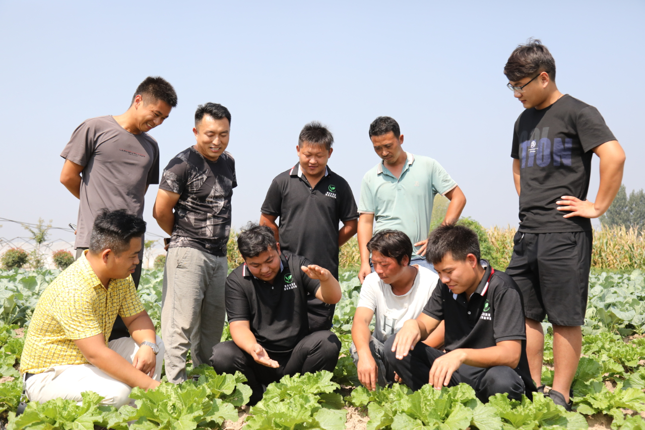 【共青团下层组织改良】芹菜地里的青年社