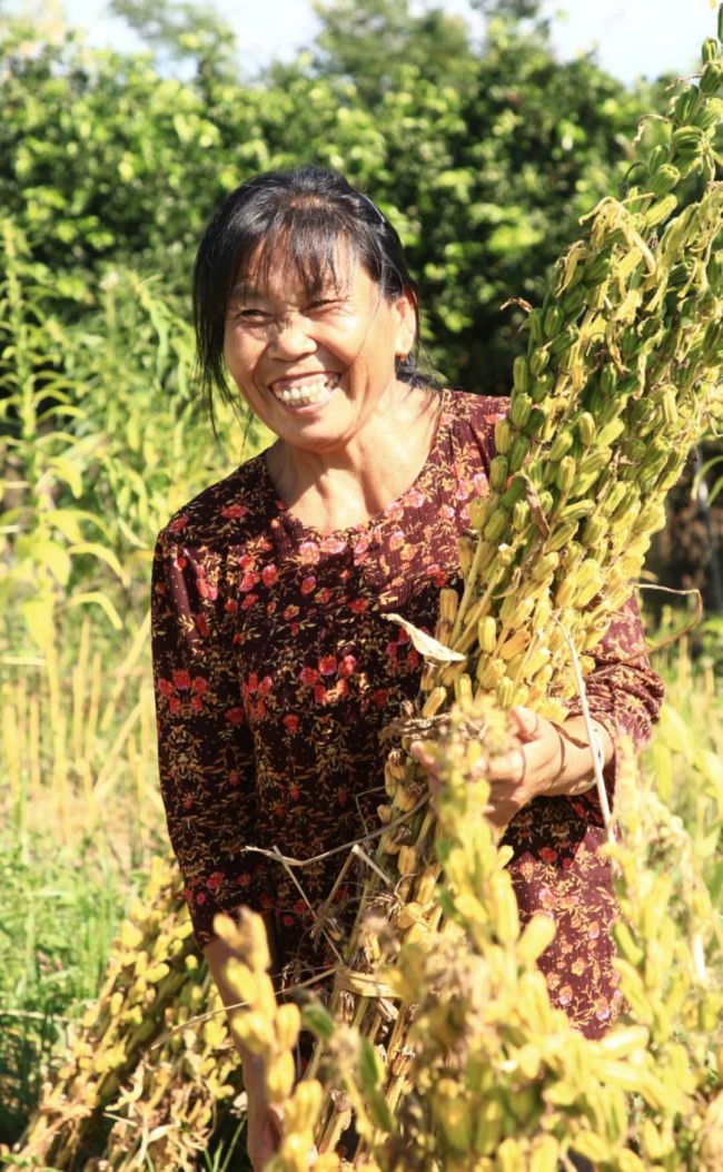 扶贫印记·组图| 衡南喇叭堰村：幸福，是格斗出来的