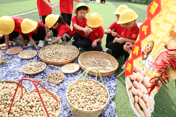 合肥一所幼儿园田园农耕趣味举动会秋收乐翻天