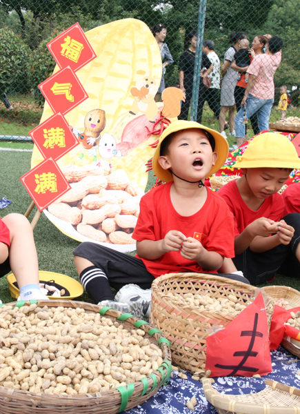 合肥一所幼儿园田园农耕趣味举动会秋收乐翻天