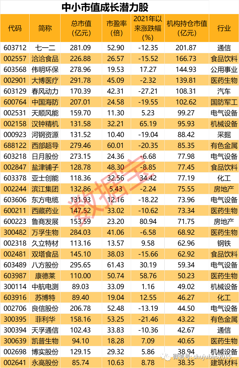 中小市值成长潜力股名单