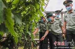 广西武警开展主题党日活动