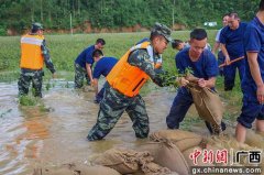 暴雨导致上林县庄稼受损 武警官兵紧急出动