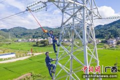 <strong>电亮脱贫致富路 广西电网发挥优势助力壮乡脱贫</strong>